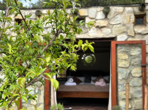 Stormsriver Backpackers Dijembe